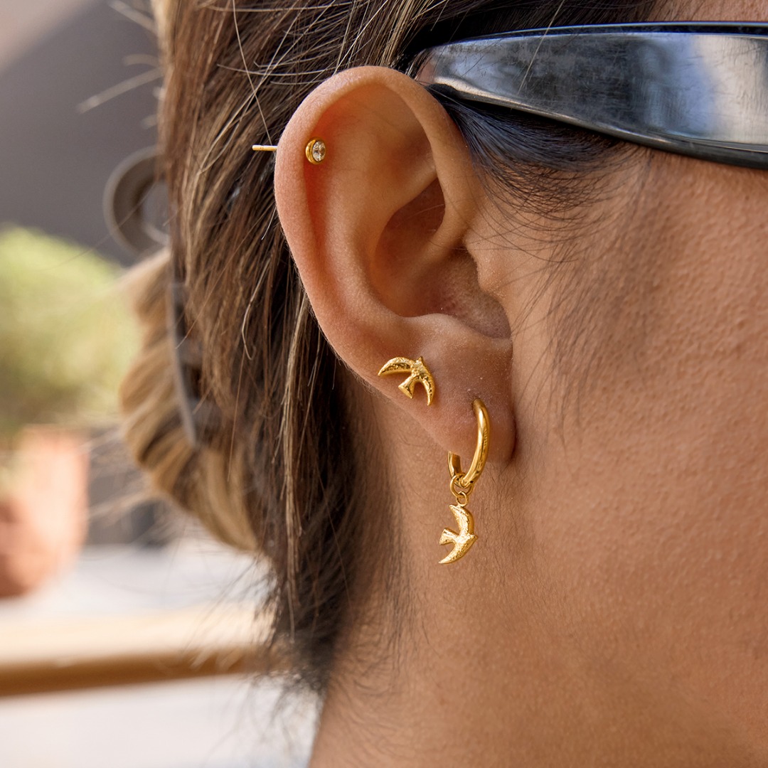 Aretes Libertad